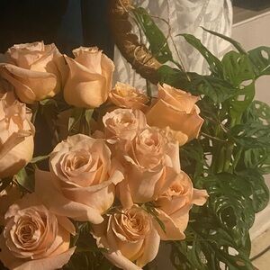 Meet your Posher, Shawn